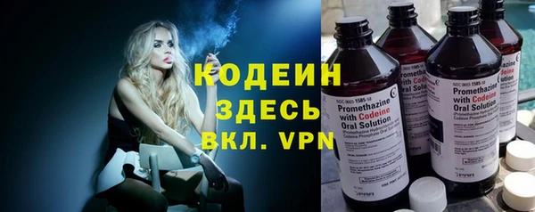 шишки Горно-Алтайск
