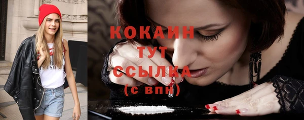 эйфоретик Гусь-Хрустальный