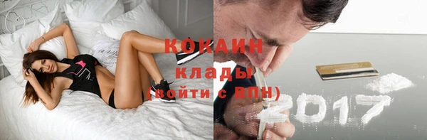 эйфоретик Гусь-Хрустальный