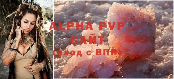 эйфоретик Гусь-Хрустальный