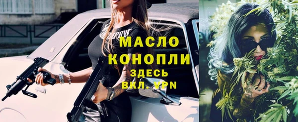 шишки Горно-Алтайск