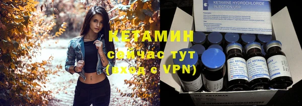 эйфоретик Гусь-Хрустальный
