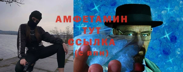 шишки Горно-Алтайск