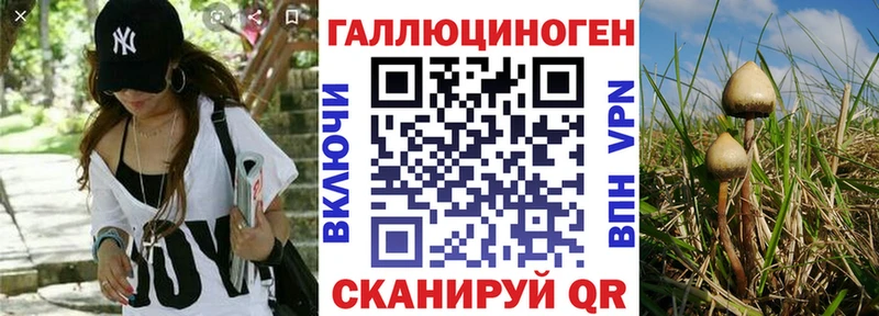 Купить закладки  Козельск  Галлюциногенные грибы Psilocybe 